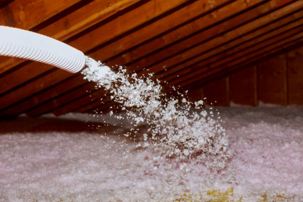 Best Soundproof Insulation Installation  in Van Meter, IA