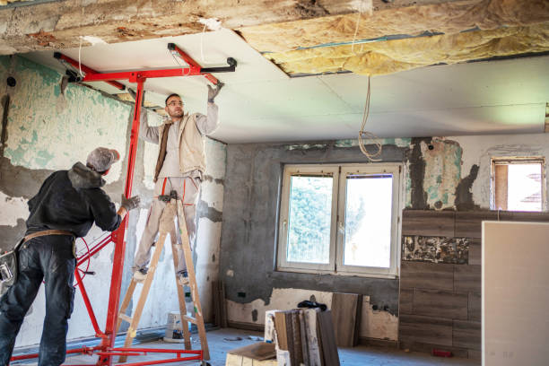 Insulation Repair Services in Van Meter, IA