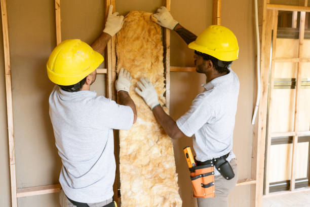 Best Insulation Inspection Services  in Van Meter, IA