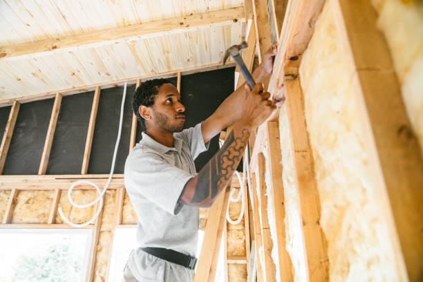 Best Home Insulation Services  in Van Meter, IA