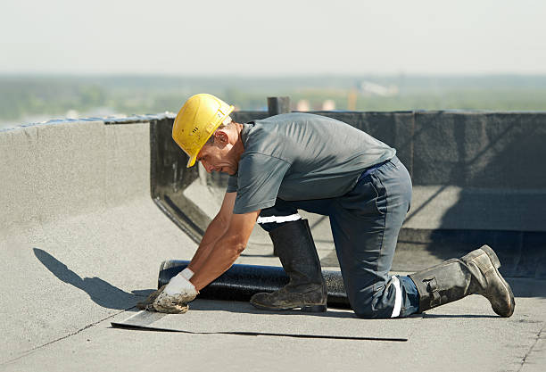 Best Insulation Removal  in Van Meter, IA