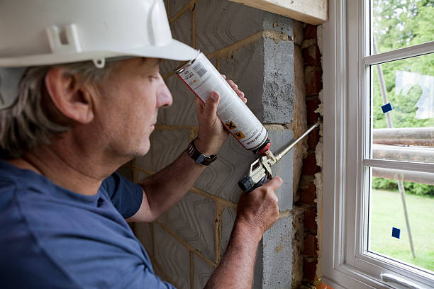 Best Cellulose Insulation  in Van Meter, IA