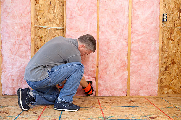 Insulation Inspection Services in Van Meter, IA