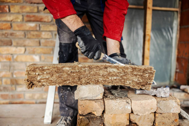Best Crawl Space Insulation  in Van Meter, IA