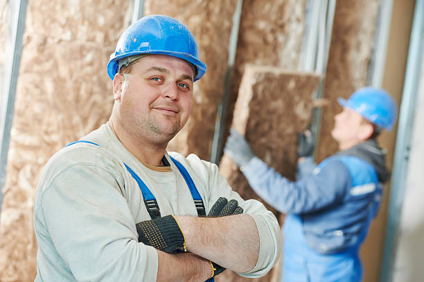 Best Insulation Repair Services  in Van Meter, IA